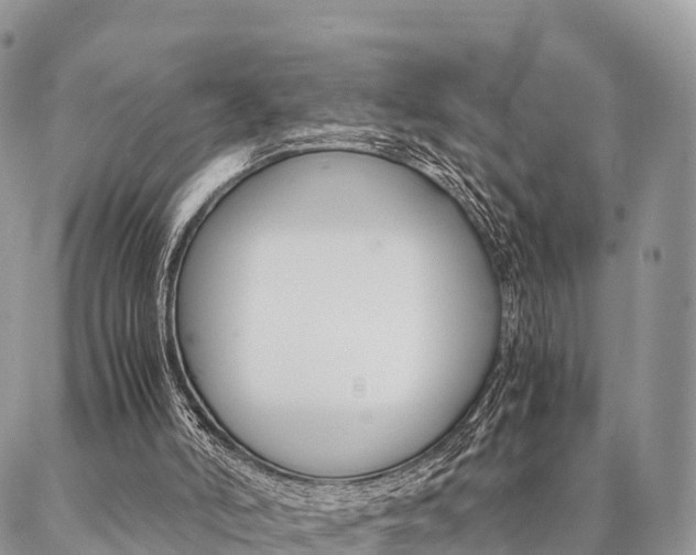 X0000087390006200704200939