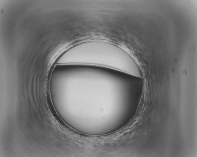 X0000087390007200704200939