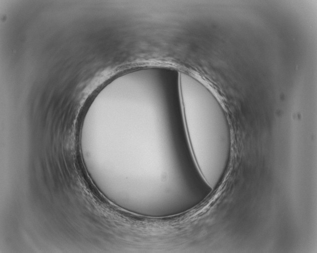 X0000087390008200704200939