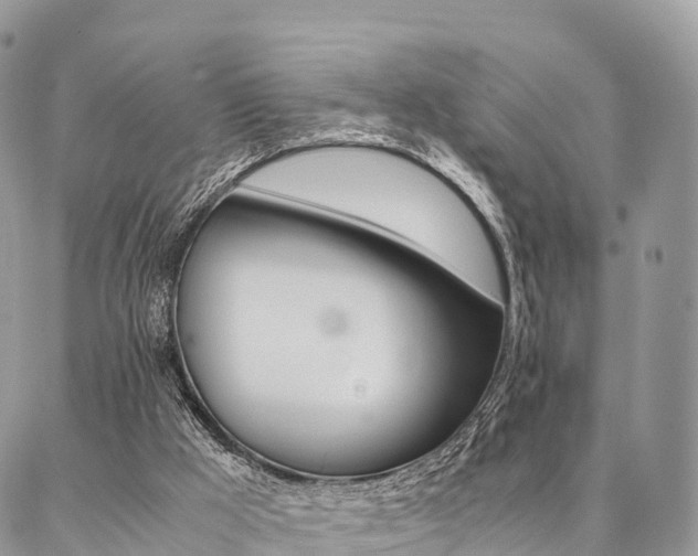 X0000087390009200704200939