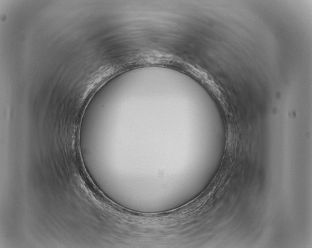 X0000087390010200704200939