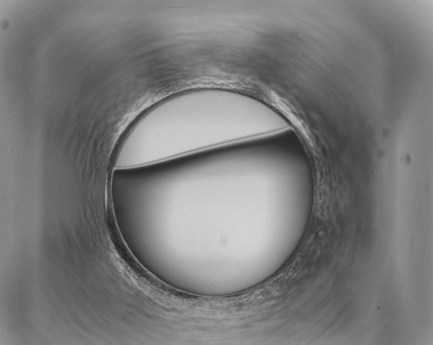 X0000087390011200704200939