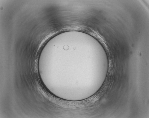 X0000087390012200704200939