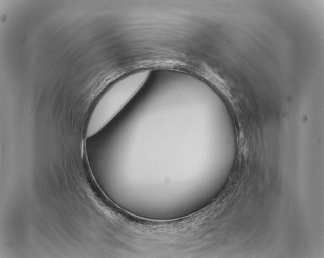 X0000087390013200704200939