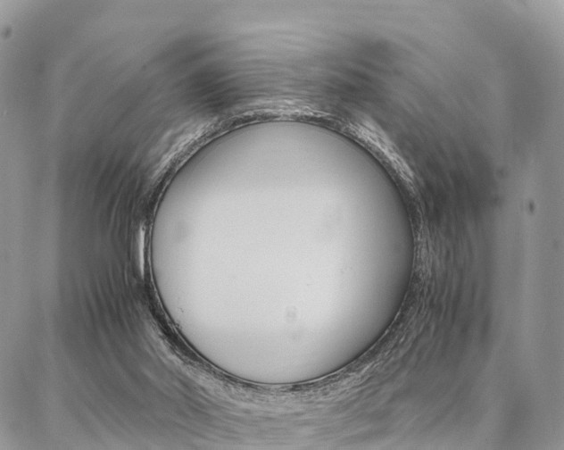 X0000087390014200704200939