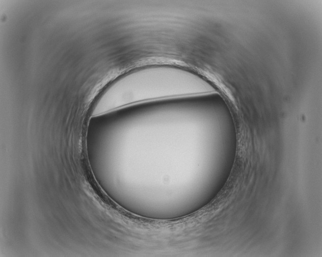 X0000087390015200704200939