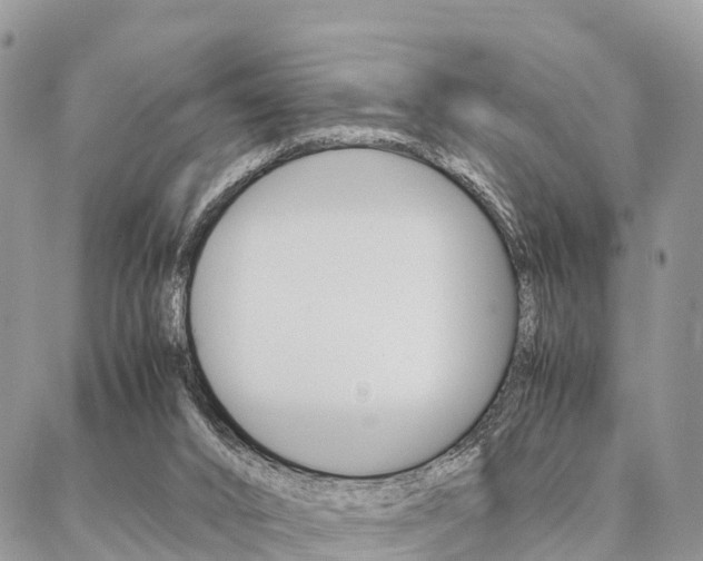 X0000087390016200704200939