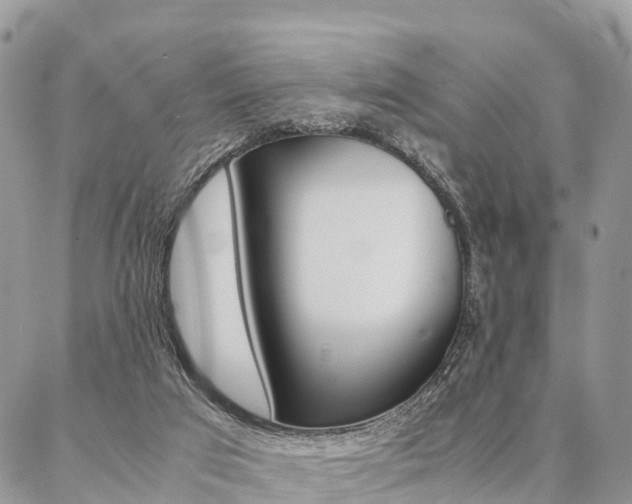 X0000087390017200704200939