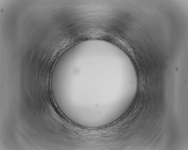 X0000087390018200704200939