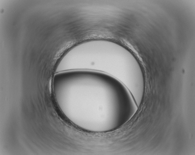 X0000087390019200704200939