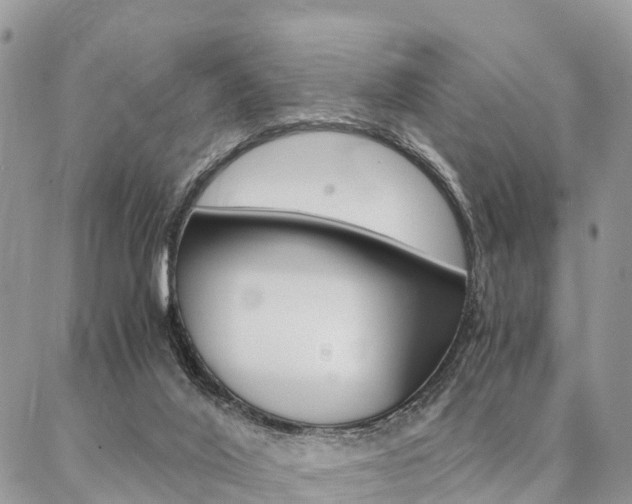 X0000087390020200704200939