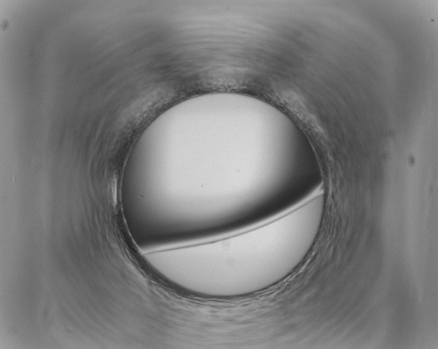 X0000087390021200704200939