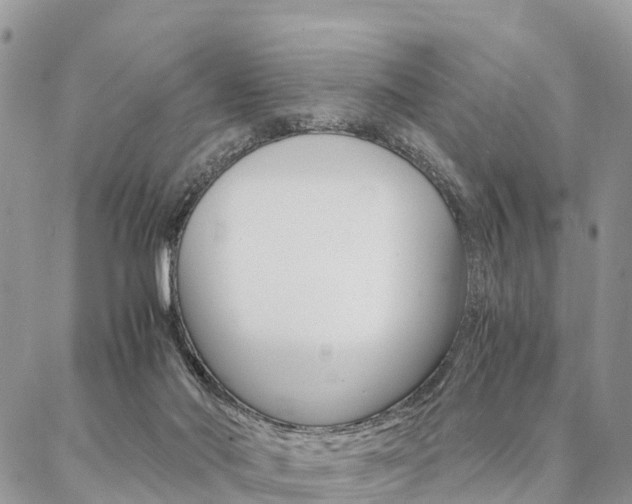 X0000087390022200704200939