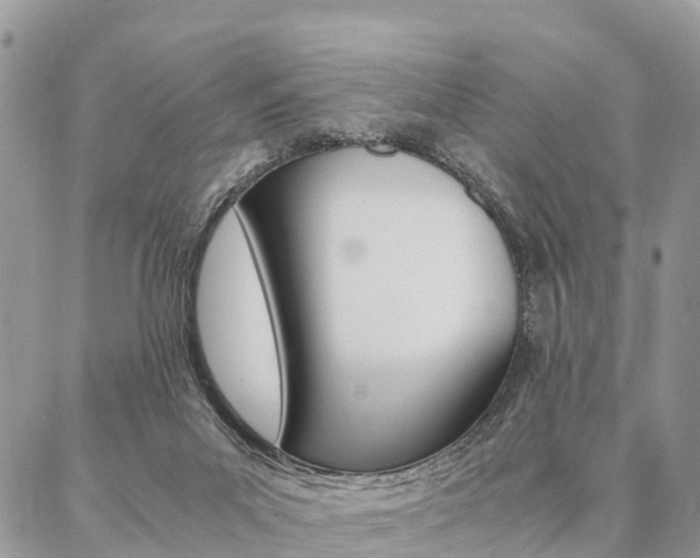 X0000087390023200704200939