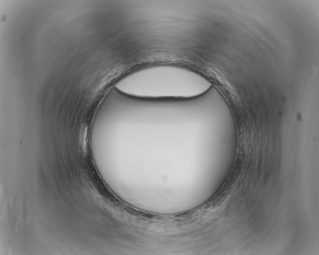 X0000087390024200704200939