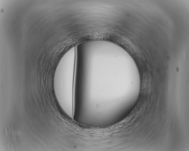 X0000087390025200704200939