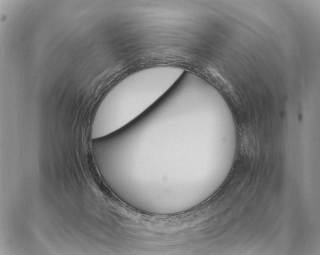 X0000087390026200704200939