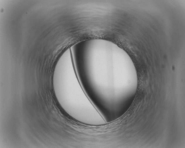 X0000087390027200704200939