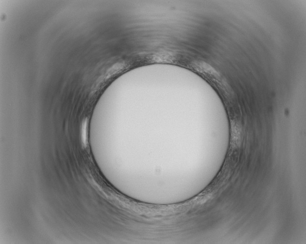 X0000087390028200704200939