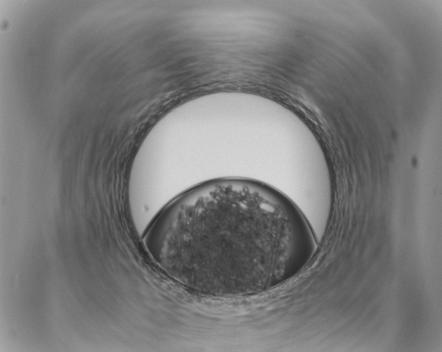 X0000087390029200704200939