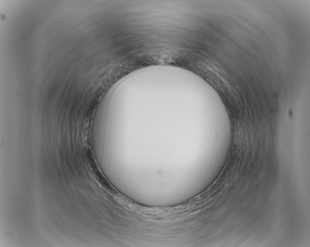 X0000087390030200704200939