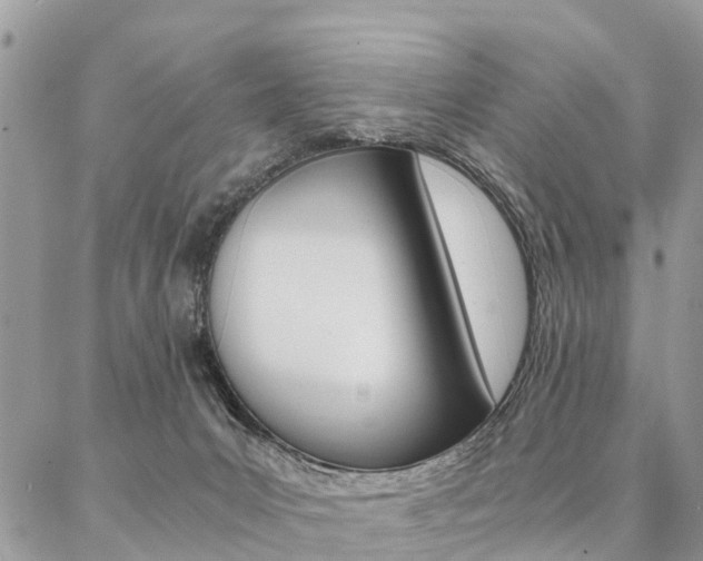 X0000087390031200704200939