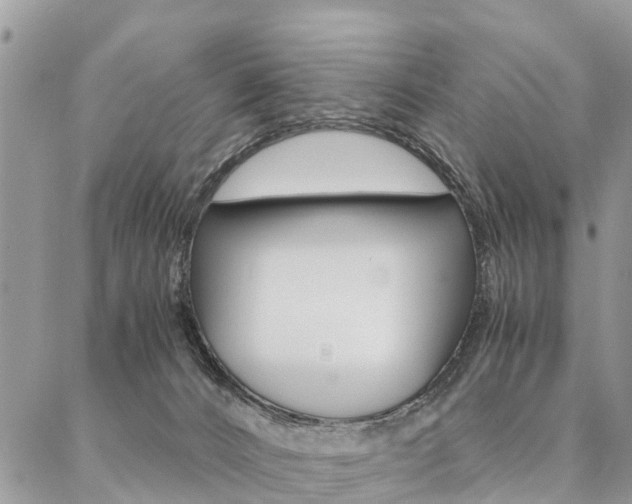 X0000087390032200704200939