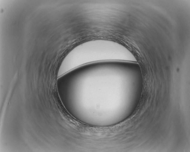 X0000087390033200704200939