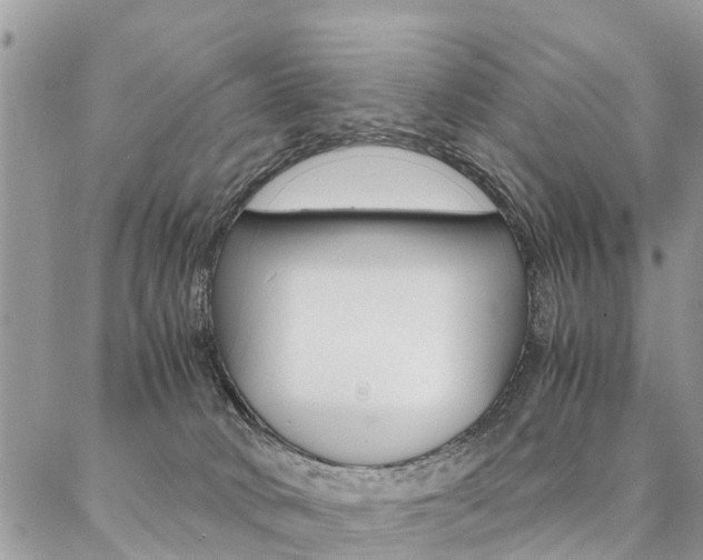 X0000087390034200704200939