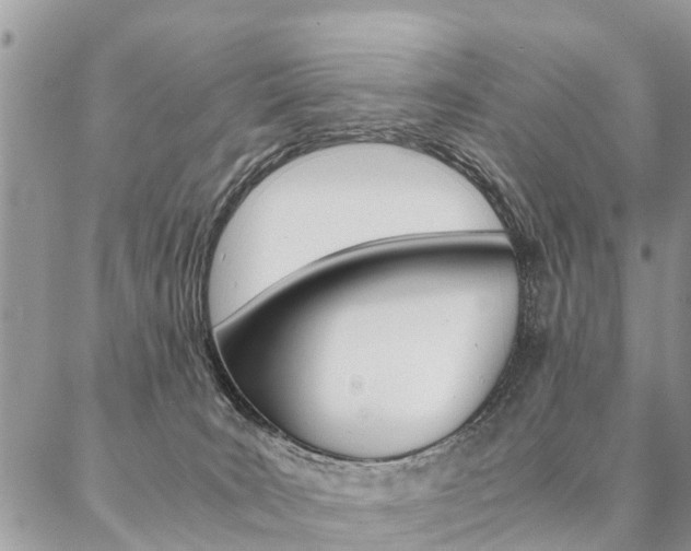 X0000087390035200704200939