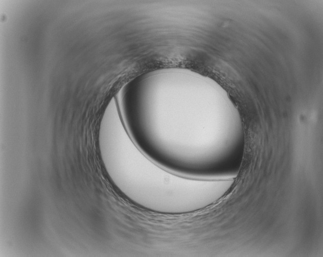 X0000087390037200704200939