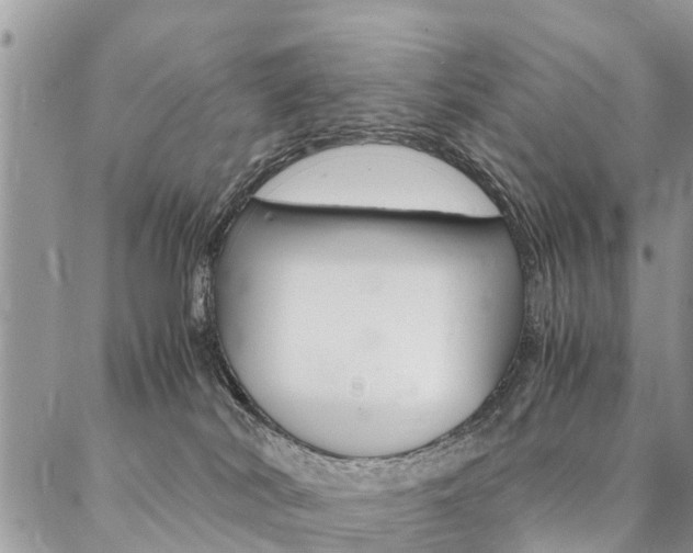 X0000087390038200704200939