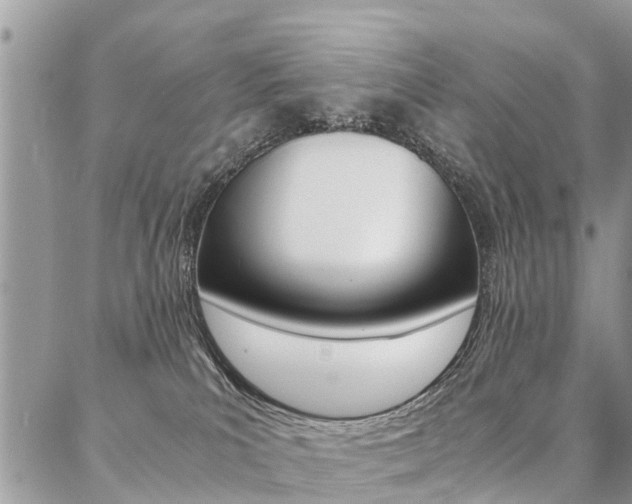 X0000087390039200704200939