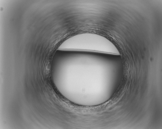 X0000087390040200704200939