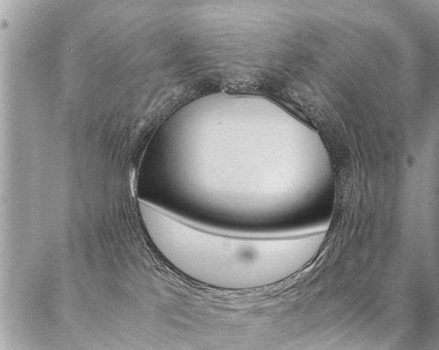 X0000087390041200704200939