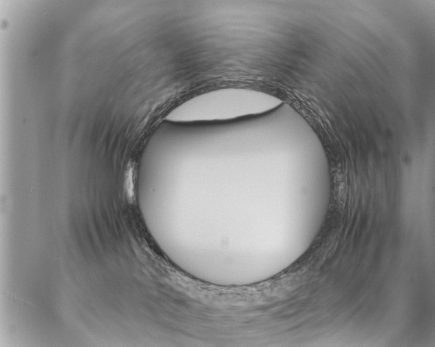 X0000087390042200704200939