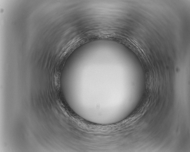 X0000087390044200704200939