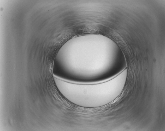 X0000087390045200704200939