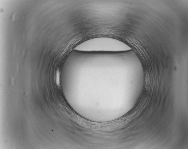 X0000087390046200704200939