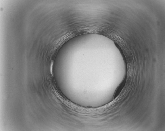 X0000087390047200704200939