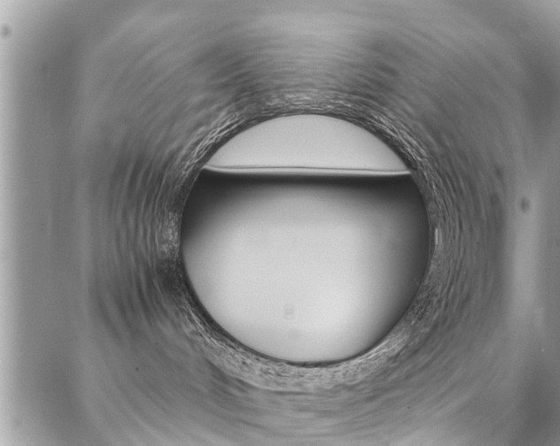 X0000087390048200704200939