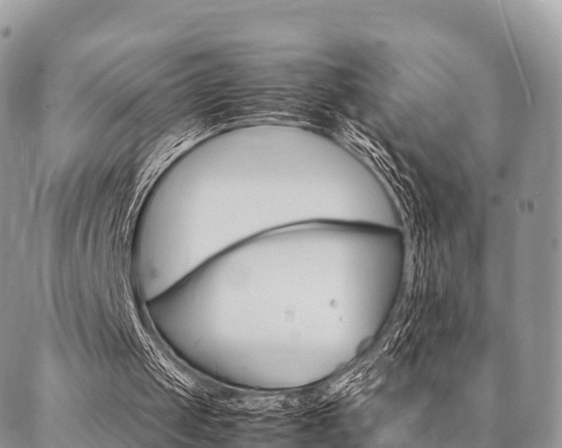 X0000087390049200704200938