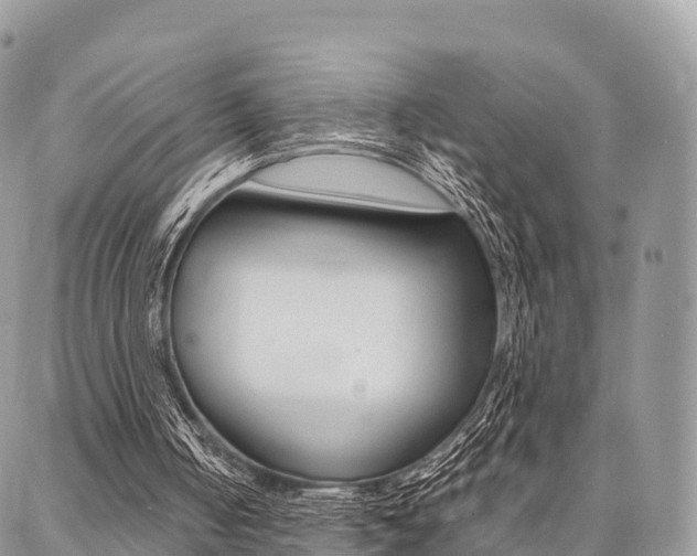 X0000087390050200704200938