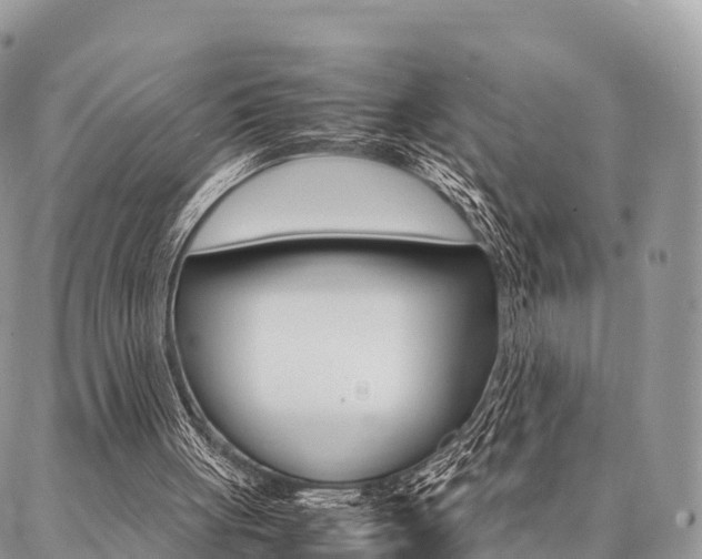 X0000087390051200704200938