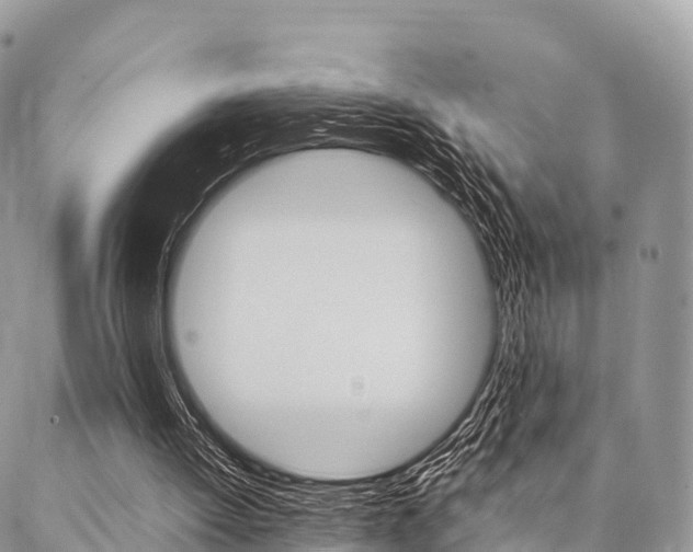 X0000087390052200704200938