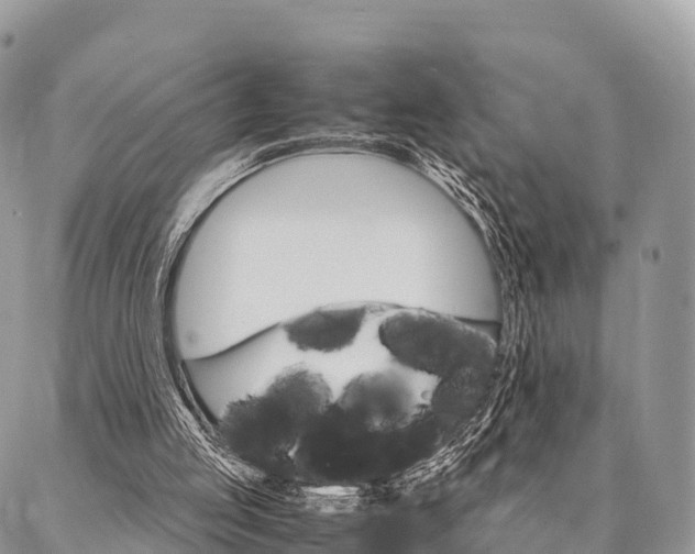 X0000087390053200704200938