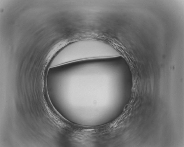 X0000087390054200704200938