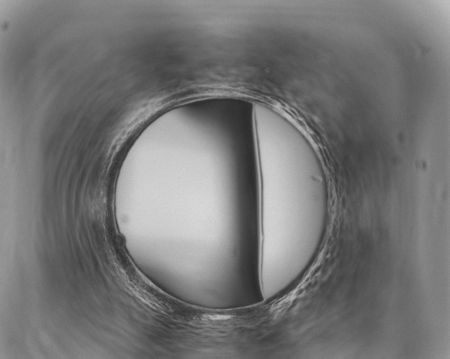 X0000087390055200704200938