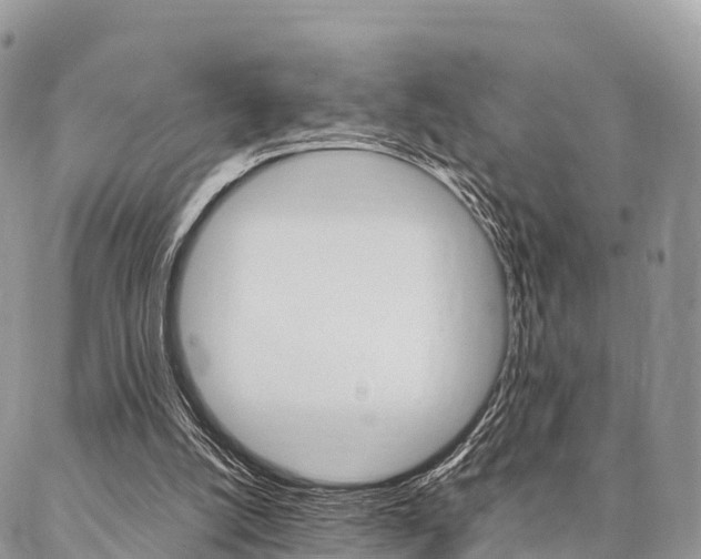 X0000087390056200704200938