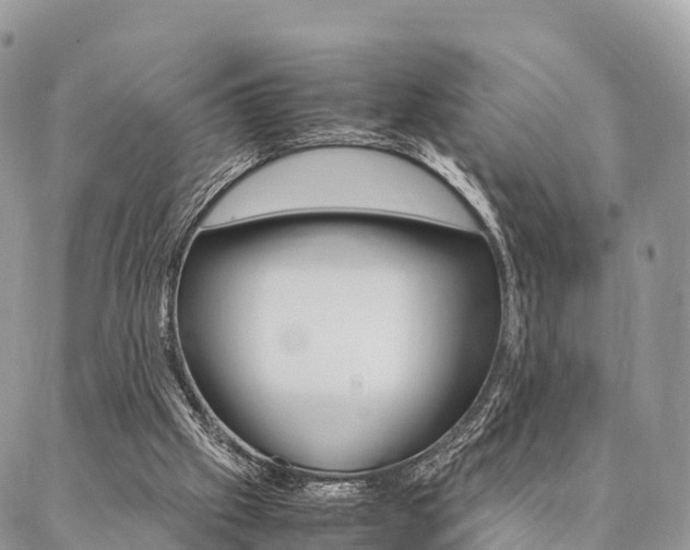 X0000087390057200704200938